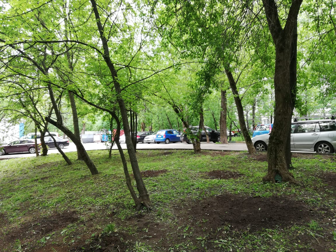 Рухнувшее дерево во дворе дома на Байкальской убрали