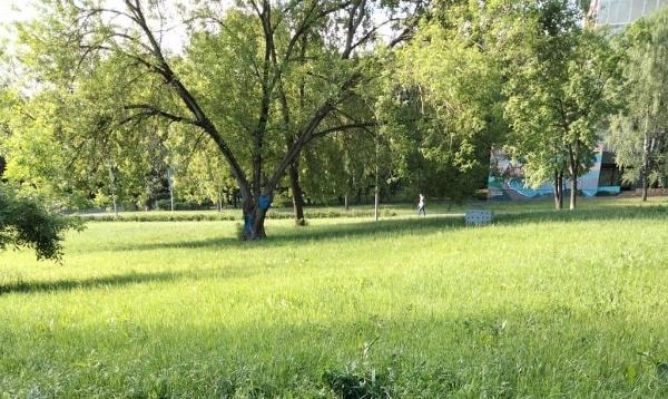 Разбросанные ветви около дома на Байкальской убрали